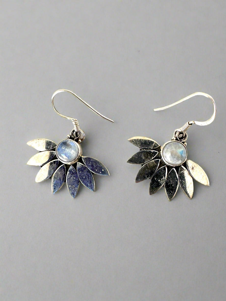Moonstone Daisy