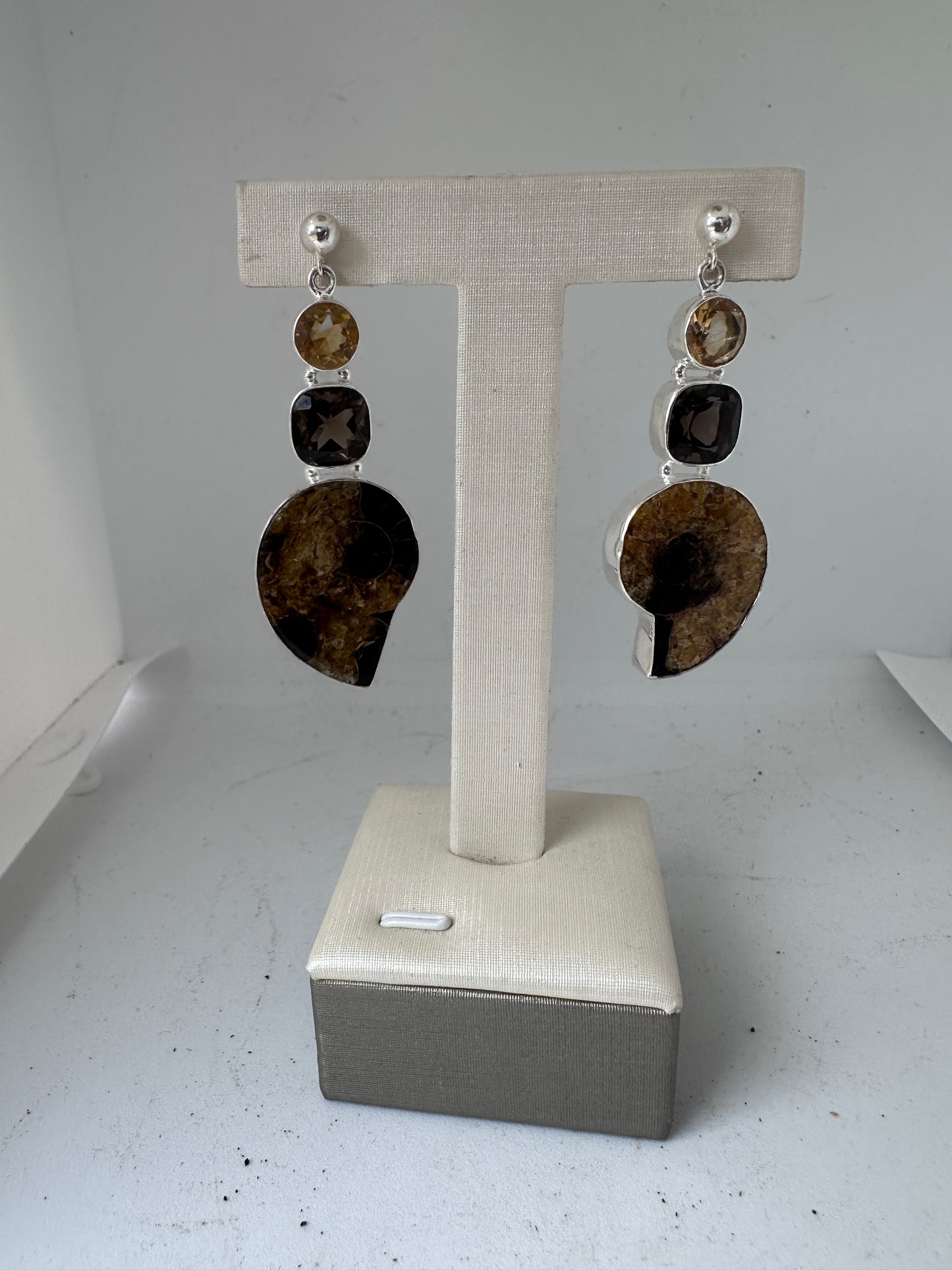 Ammonite Fossil with Smoky Quartz and Citrine
