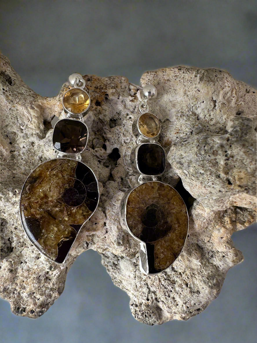 Ammonite Fossil with Smoky Quartz and Citrine