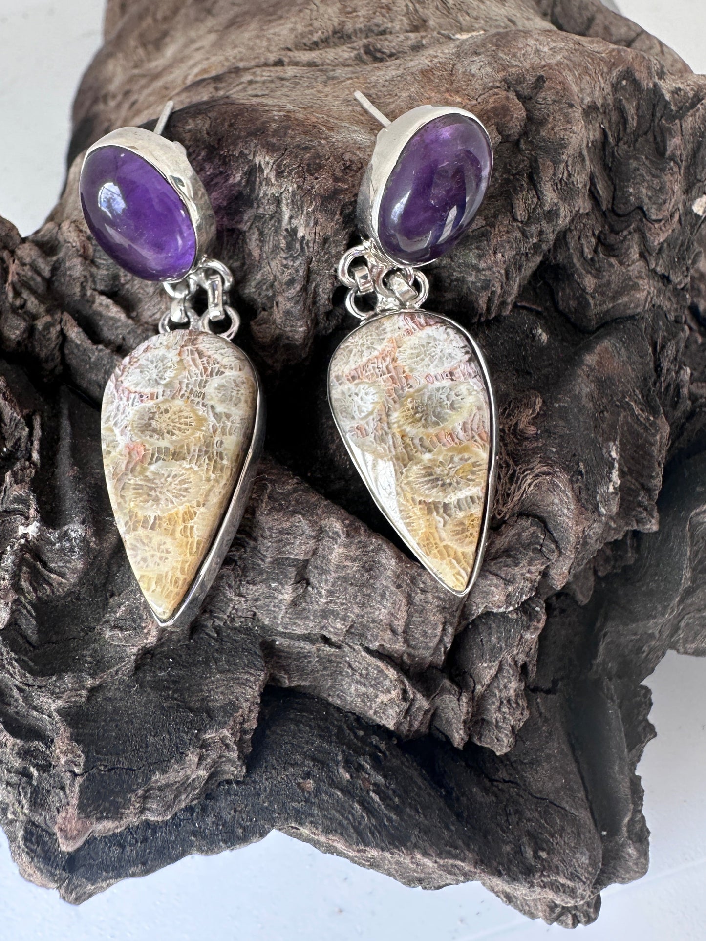 Fossil Coral with Amethyst