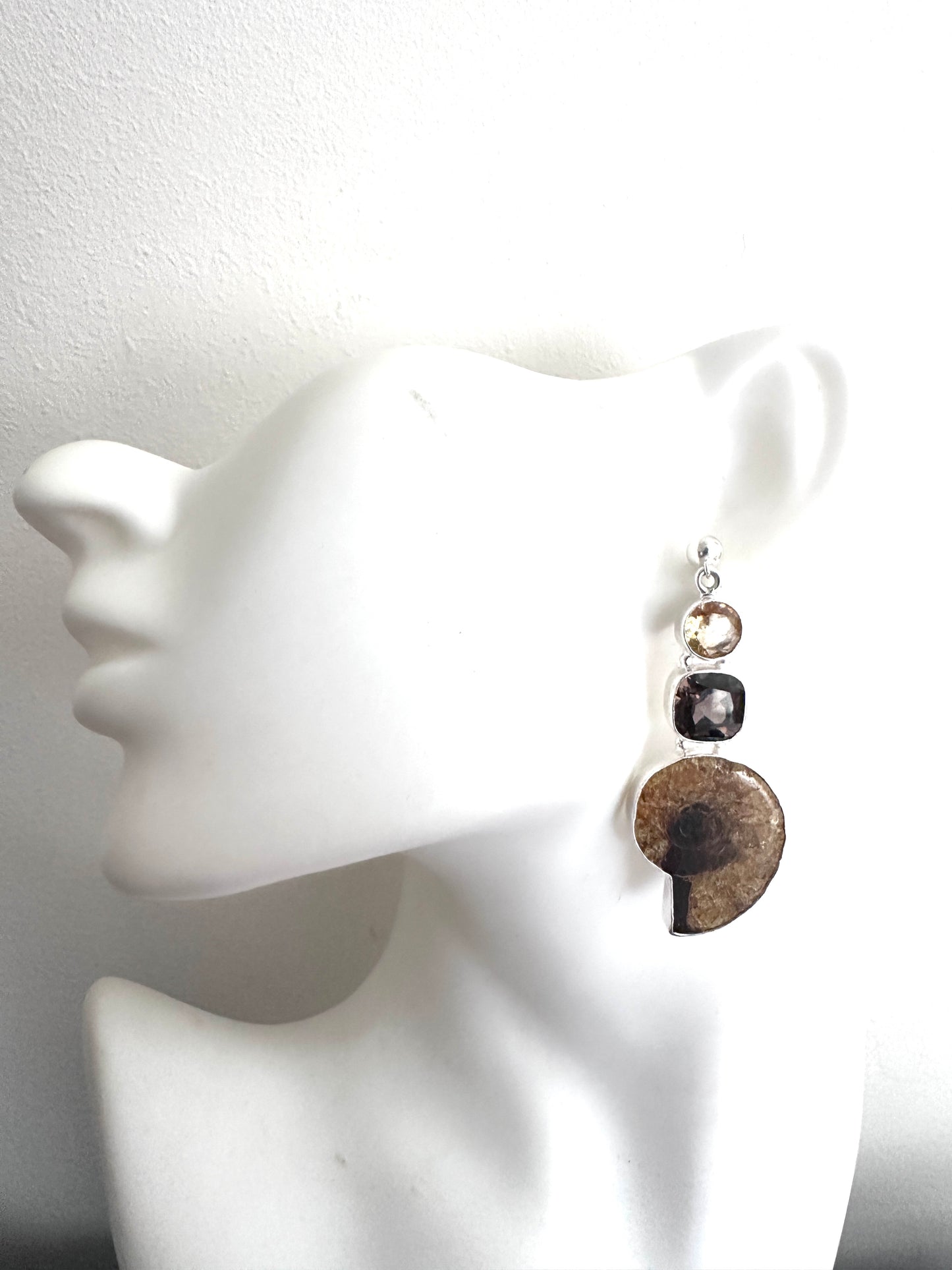 Ammonite Fossil with Smoky Quartz and Citrine