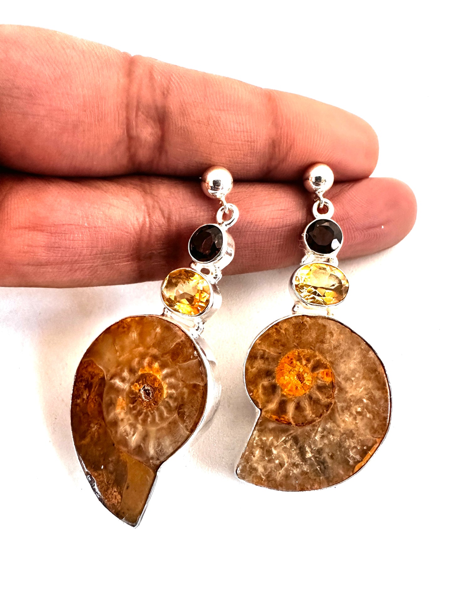 Brown Ammolite Fossil with Citrine and Smoky Quartz