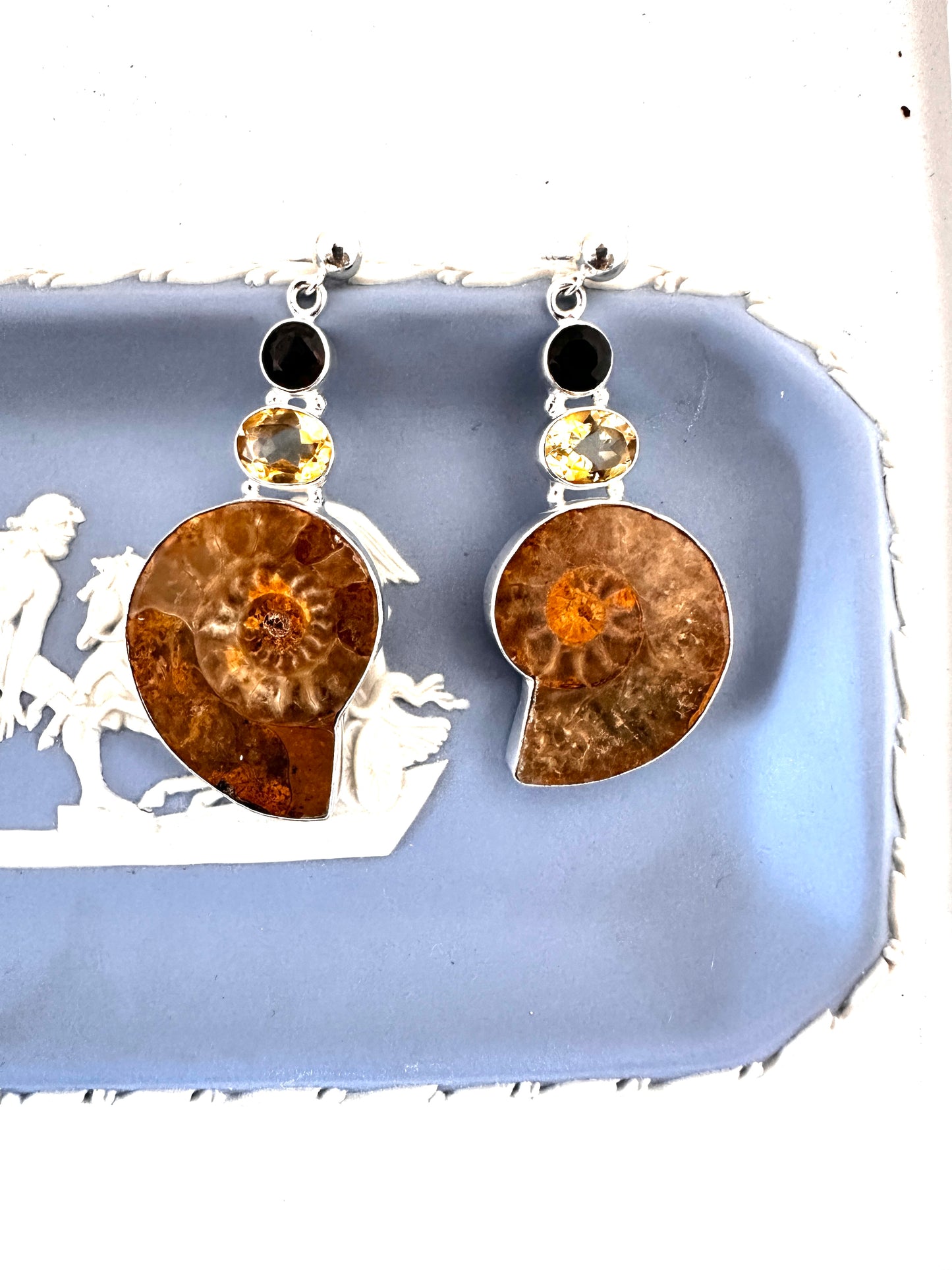 Brown Ammolite Fossil with Citrine and Smoky Quartz