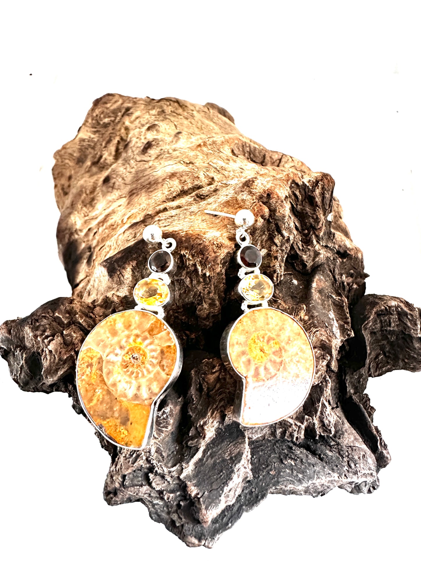Brown Ammolite Fossil with Citrine and Smoky Quartz