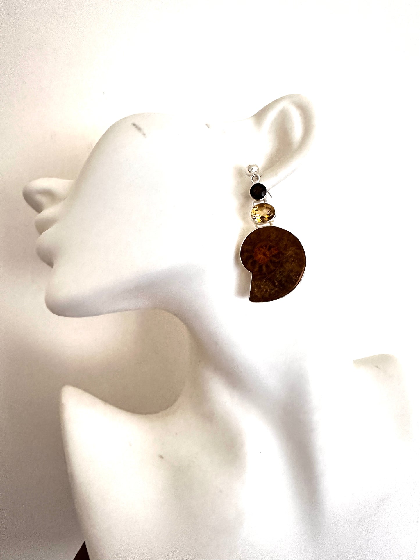 Brown Ammolite Fossil with Citrine and Smoky Quartz