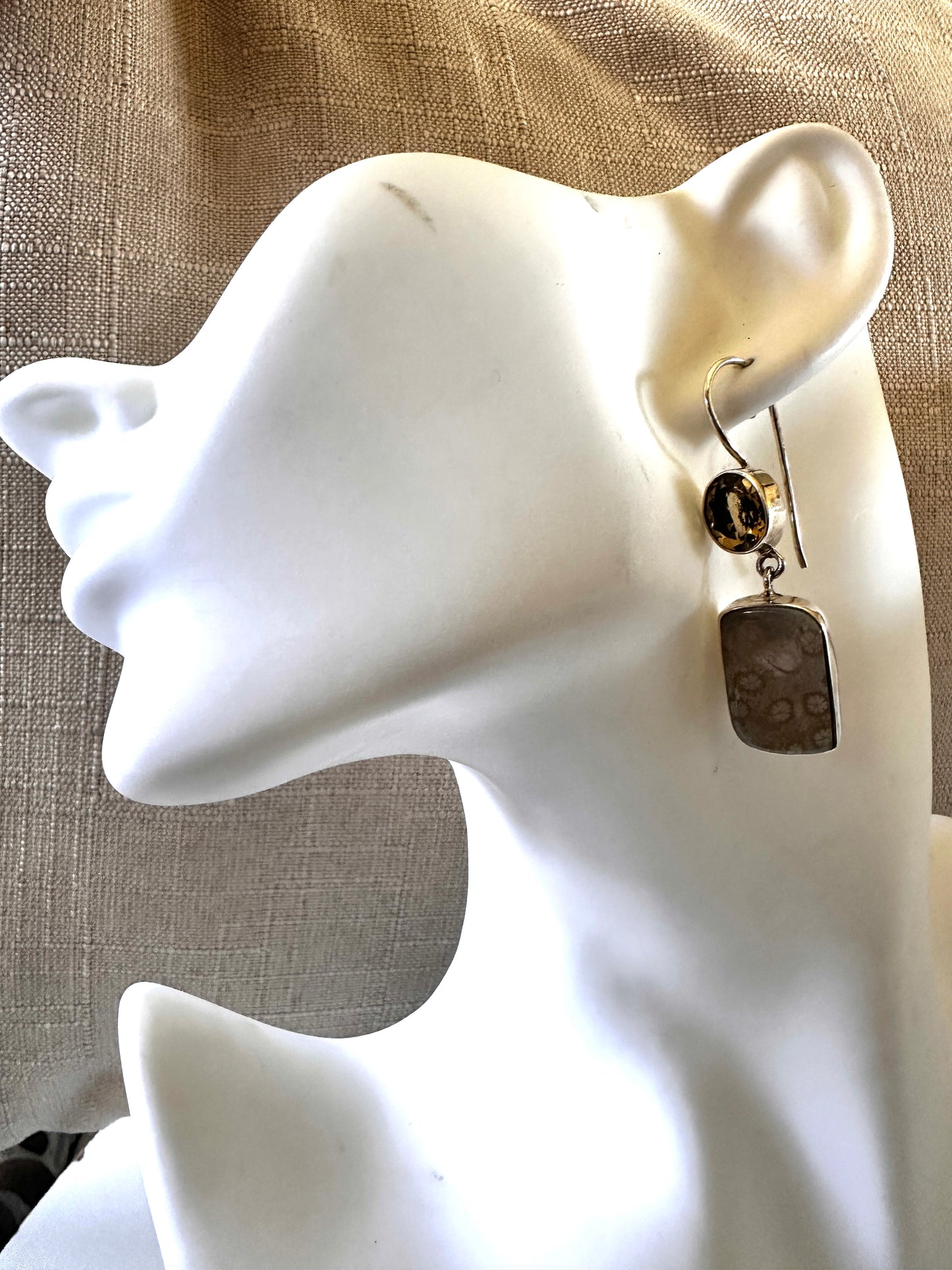 Fossil Coral with Citrine