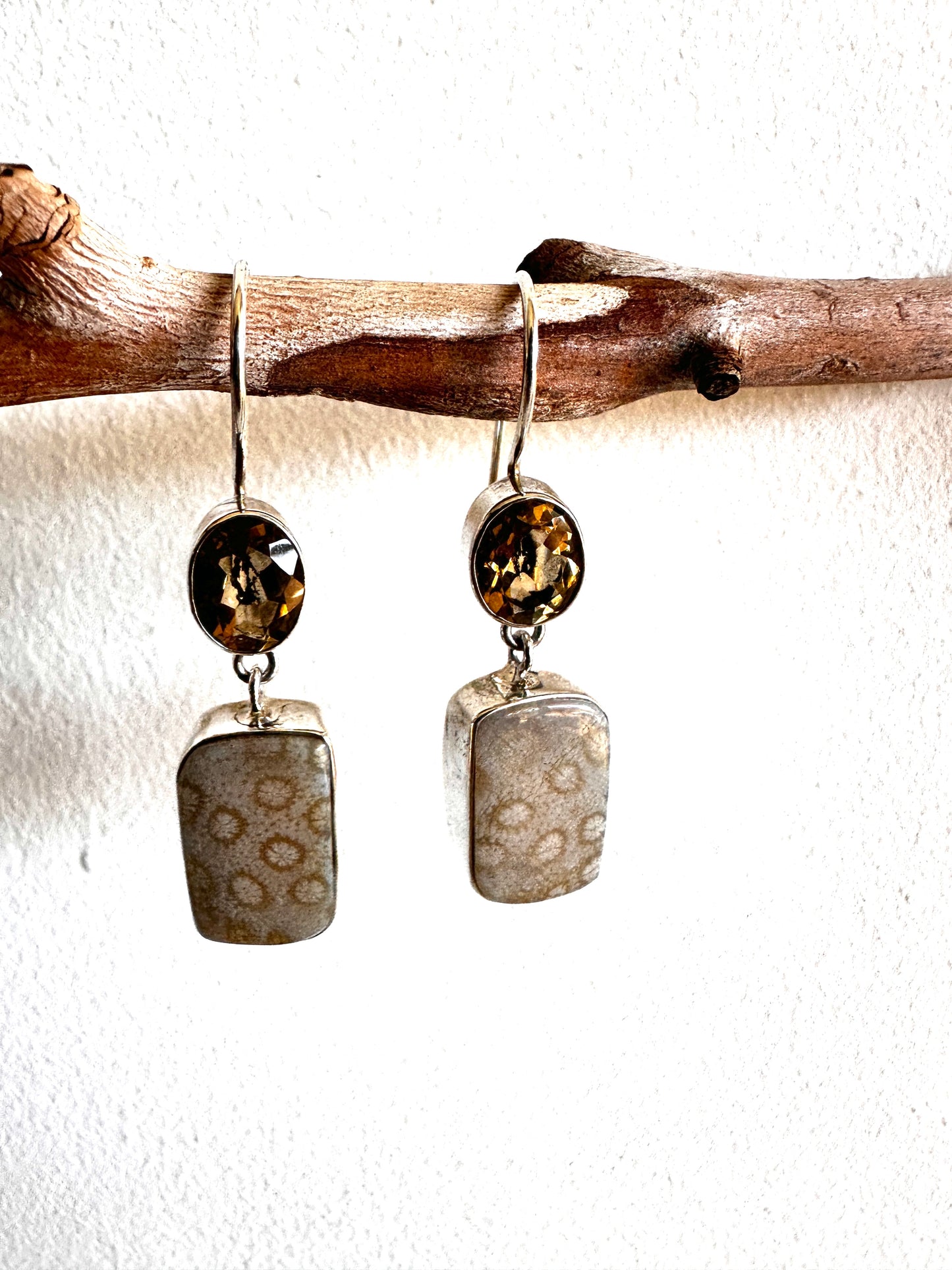 Fossil Coral with Citrine