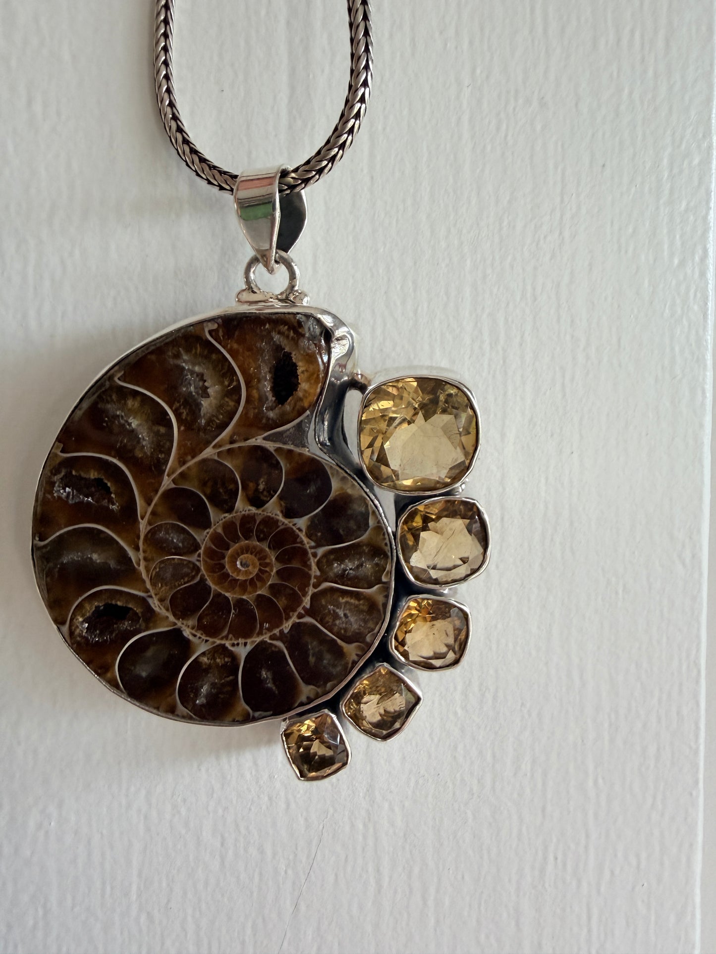 Ammonite with Citrine