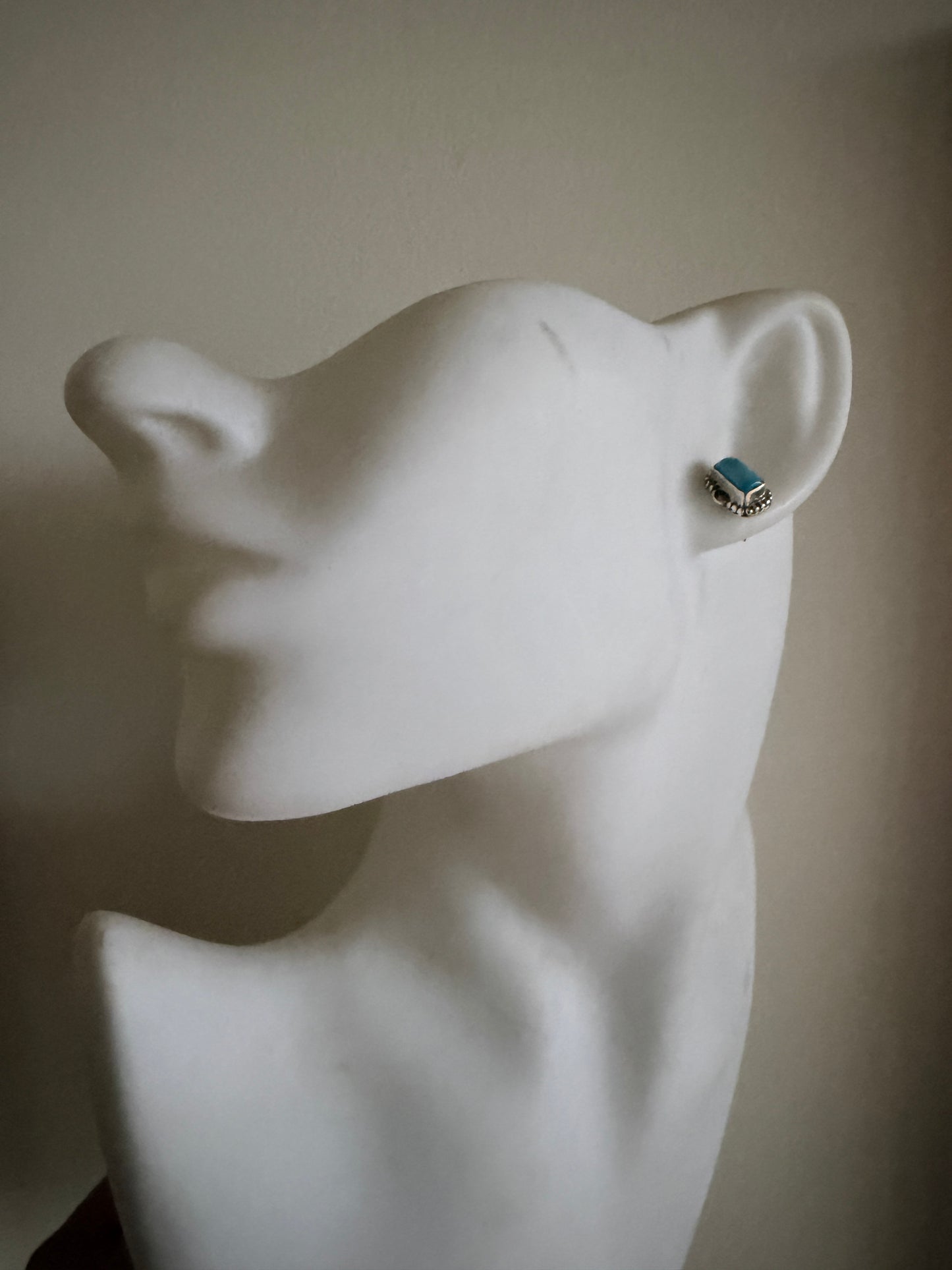 Turquoise Rectangles