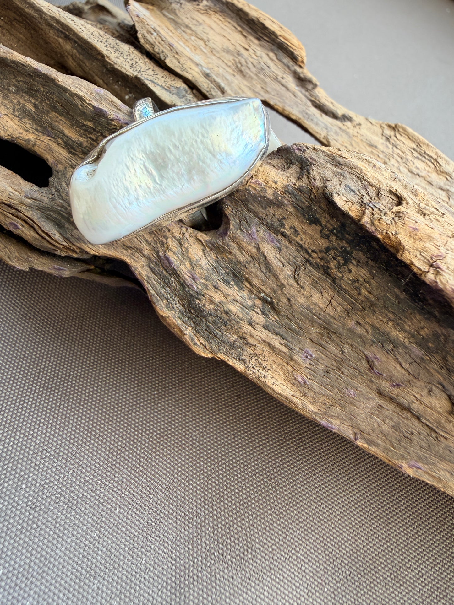 Biwa Shell