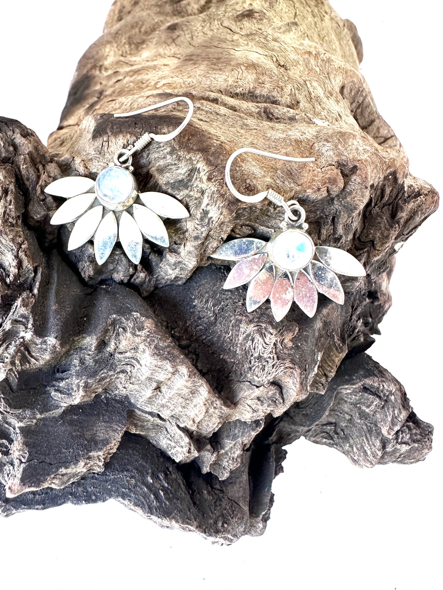 Moonstone Daisy