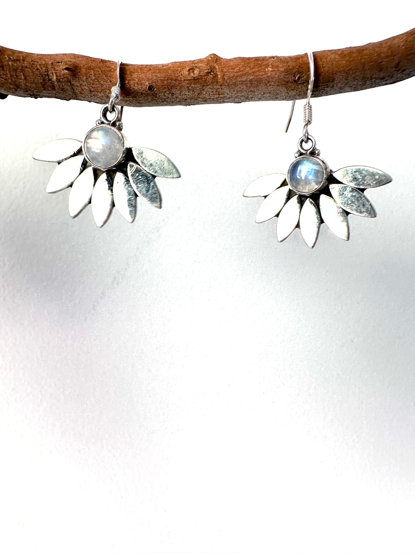 Moonstone Daisy