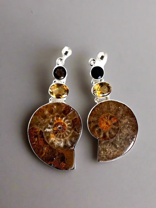 Brown Ammolite Fossil with Citrine and Smoky Quartz