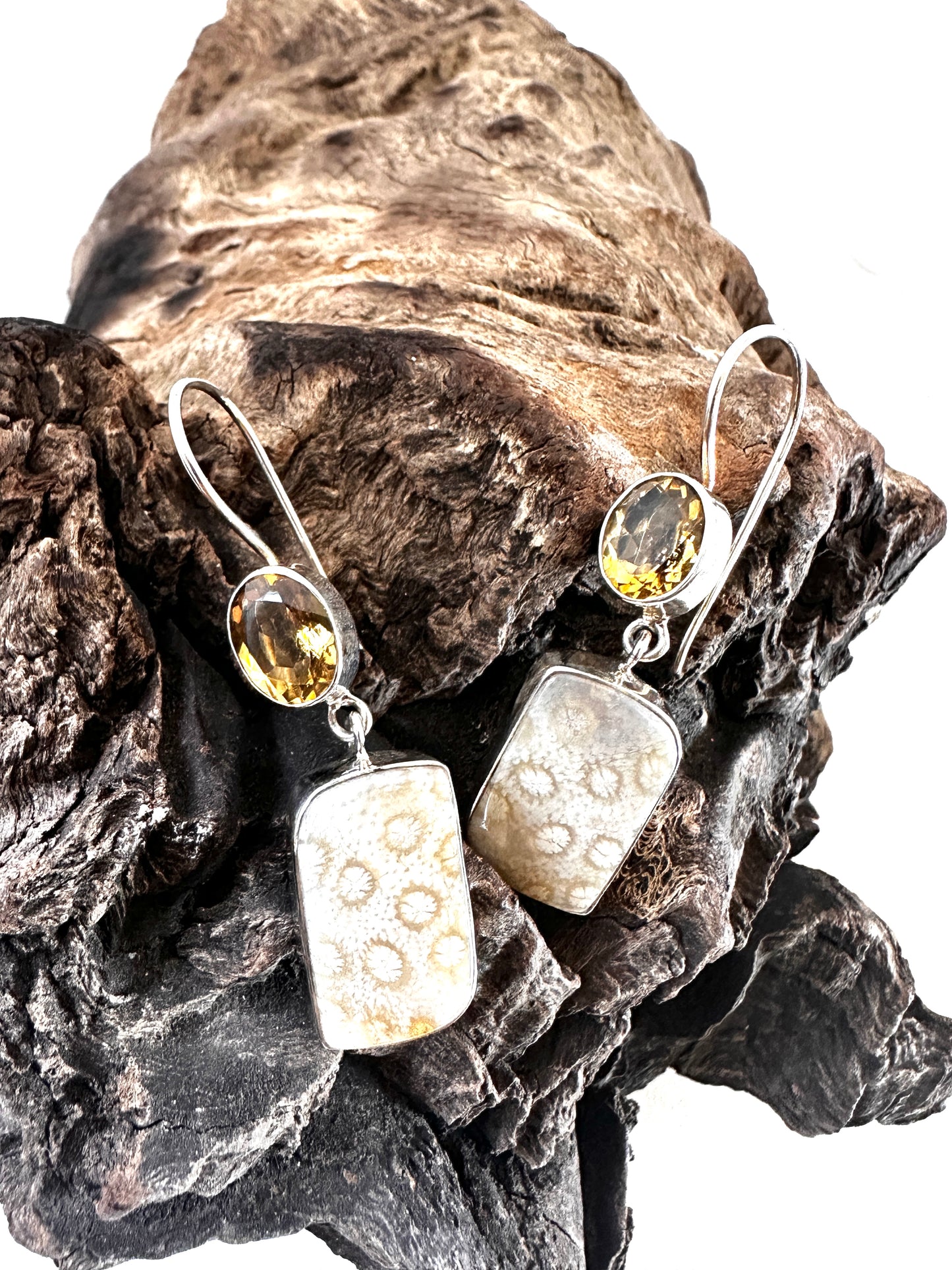Fossil Coral with Citrine