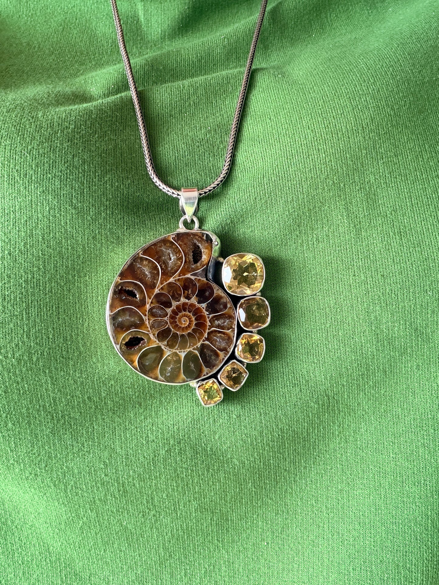 Ammonite with Citrine
