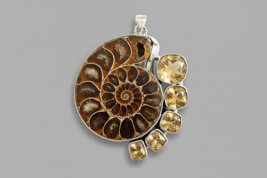 Ammonite with Citrine