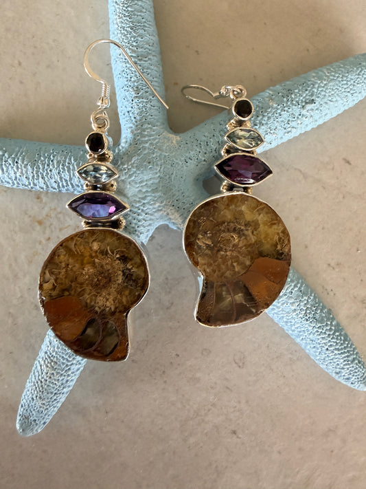 Ammonite with Amethyst ,Blue Topaz and Smoky Quartz