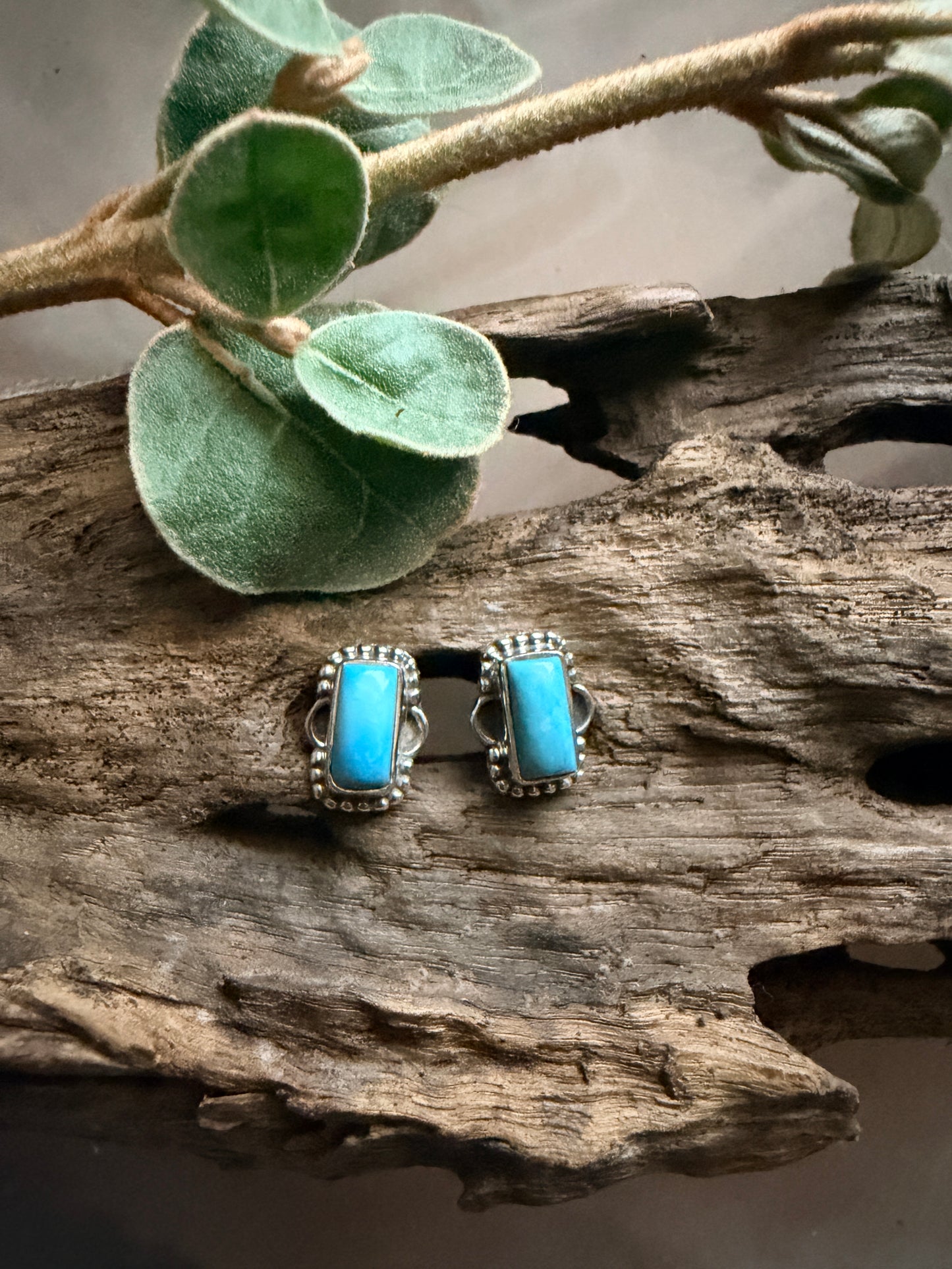 Turquoise Rectangles