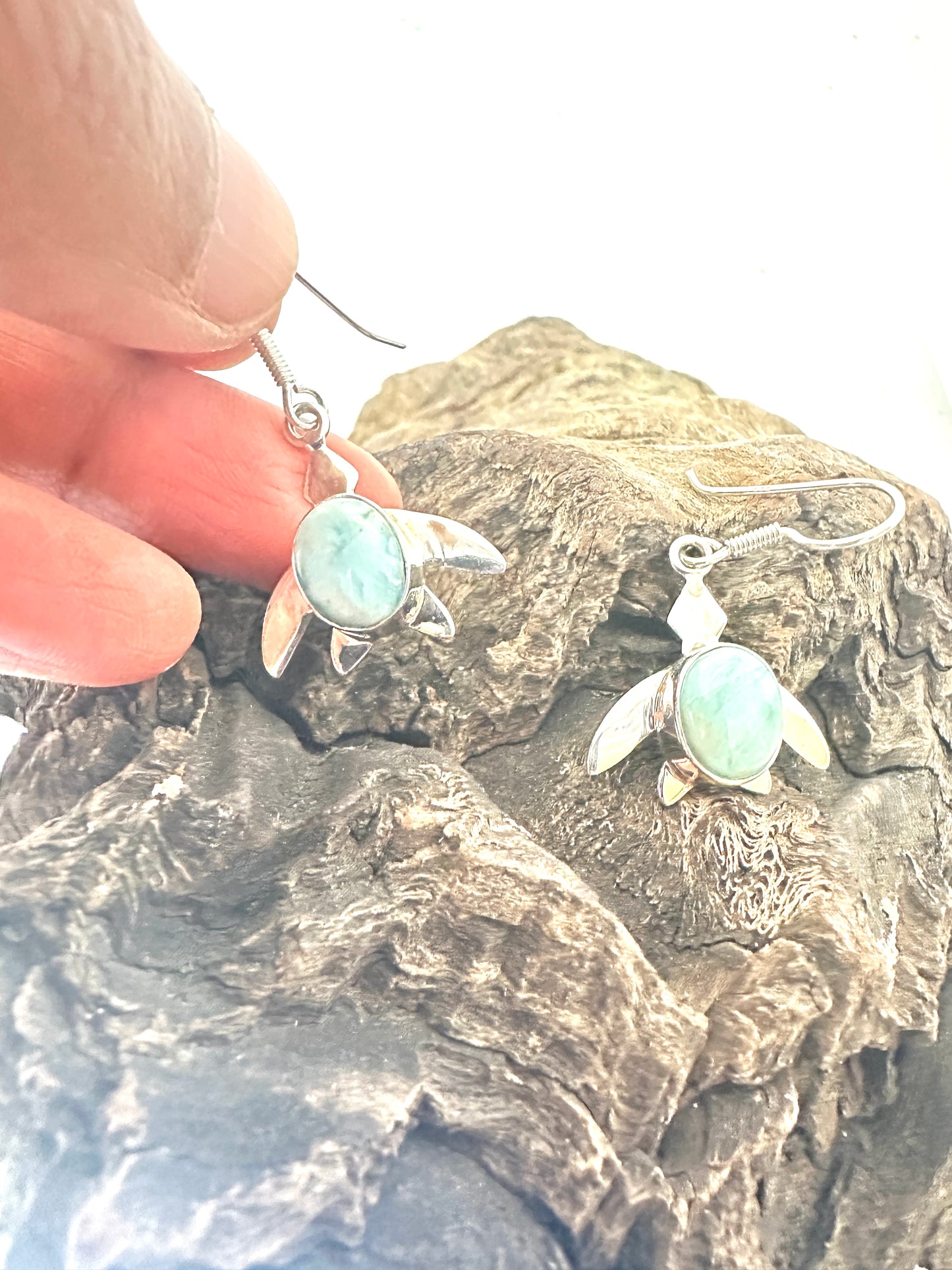 Larimar Turtles