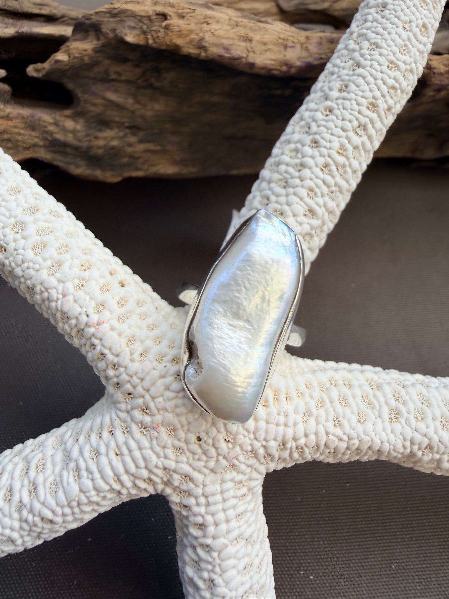 Biwa Shell