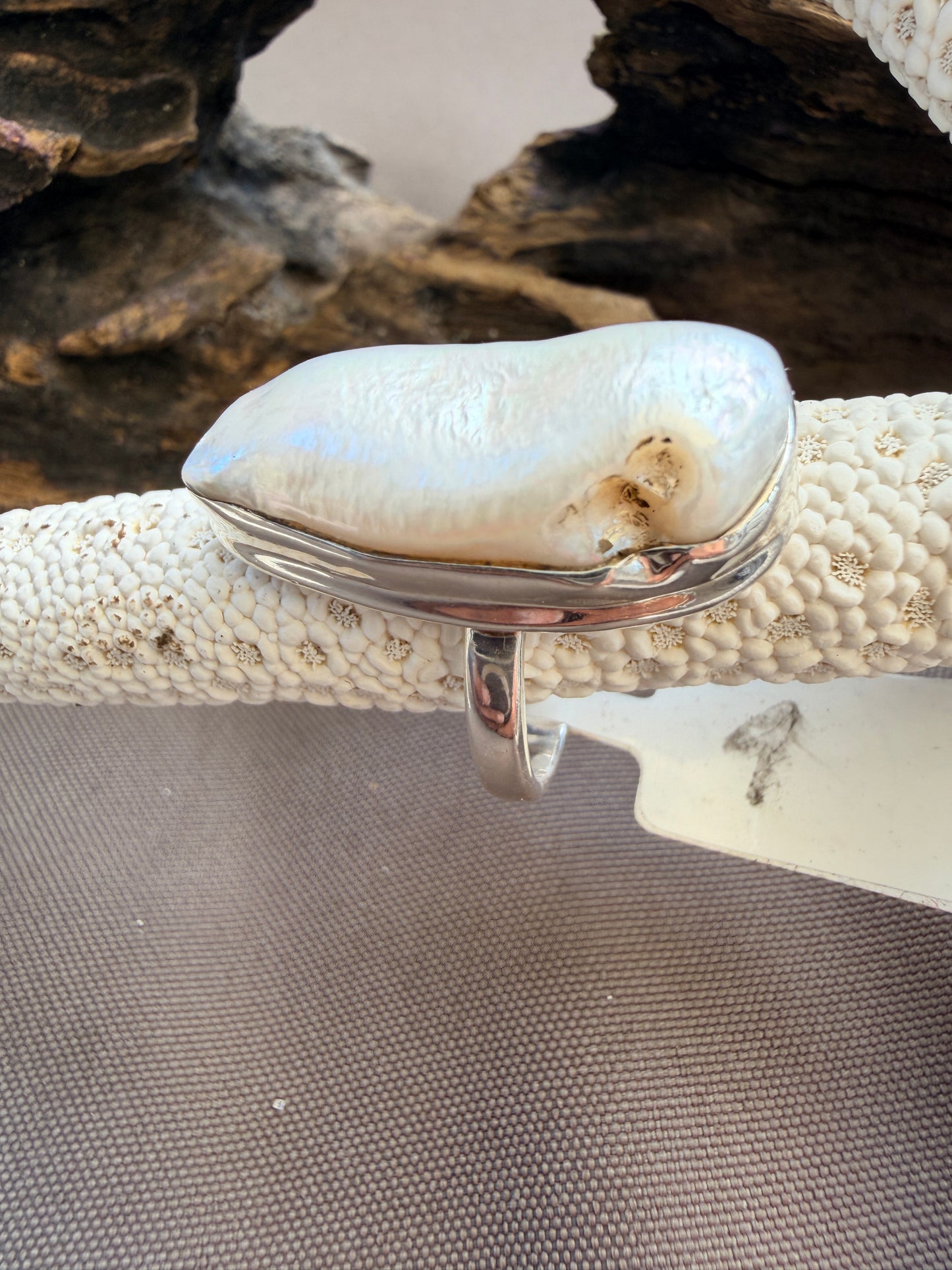 Biwa Shell
